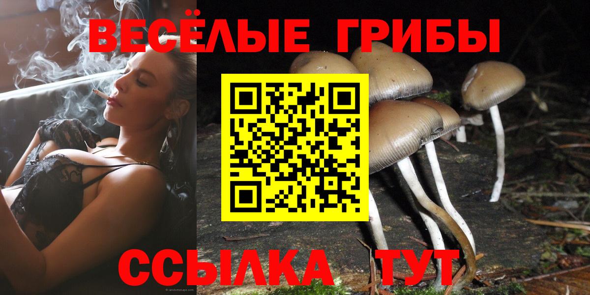 Железногорск  наркошоп  Вход с VPN  Псилоцибиновые грибы мухоморы 